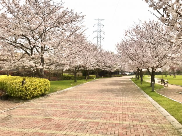 4BF9E5B8-4AC7-421B-8594-AE9A1ACC9AEA